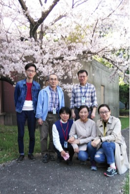 122cc太阳集成游戏